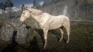 Buell in Red Dead Online