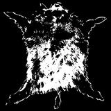 Wildschweinhaut.png
