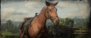 Pferd in Red Dead Online.jpg