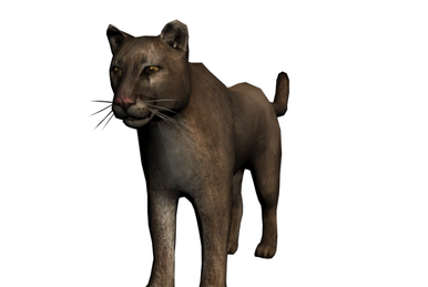 Puma Red Dead Redemption Wiki Fandom