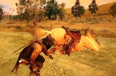 Ein Strauß-„pferd“ wie Geil ist das denn bitte.