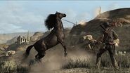 Rdr buckinawesome03-490x275