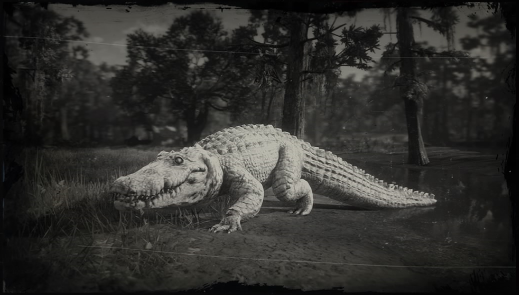 Легендарный крокодил. РДР 2 легендарный Аллигатор.