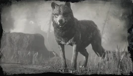 Legendärer Wolf Profil