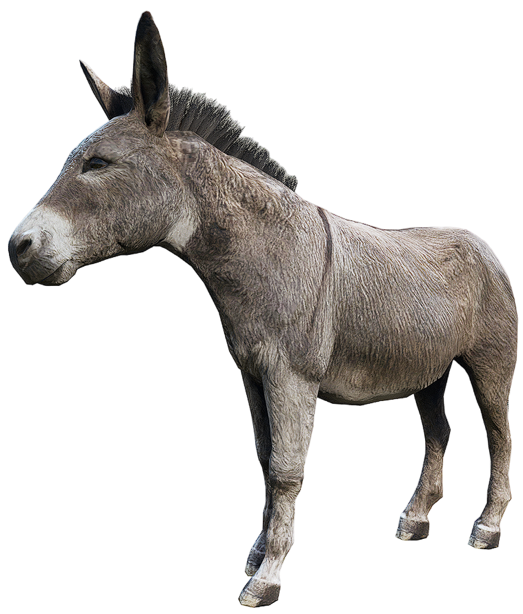 Donkey (RDR 2) | Red Dead Wiki | Fandom