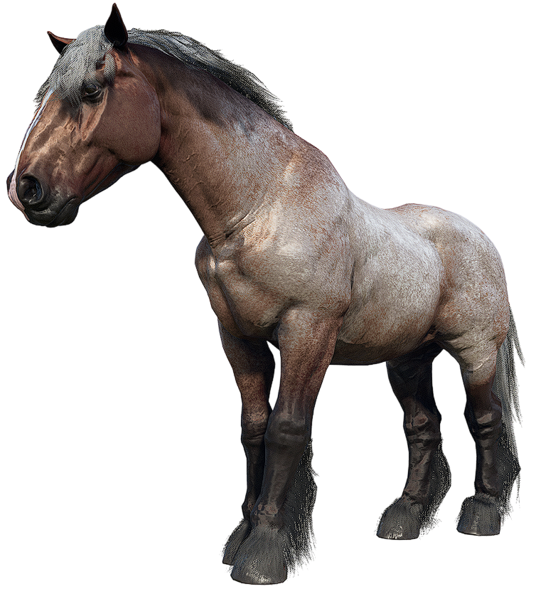 Appaloosa, Red Dead Wiki