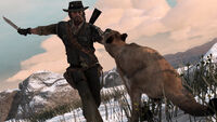 Marston fending off a cougar with his Hunting Knife.