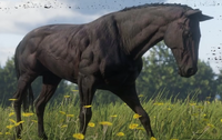 RDR2-Vorbesteller-Schwarzfuchs Chestnut