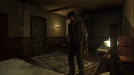 Armadillosafehouse