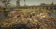 Corpses of animals found nearby