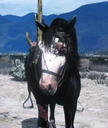 RDR Dark Horse.jpg (193 KB)