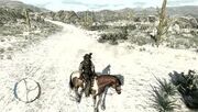 Riding a Tobiano Pinto in-game