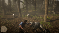 The wolf pack attacks Arthur.