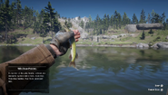 RDR2 - Chain Pickerel