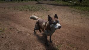 Siberian Husky (Photo Mode)