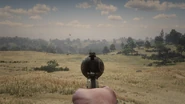 GrangersRevolver RDR2 IronSights.png (3.27 MB) Down the sights