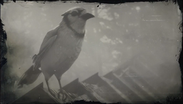 BlueJayRDR2