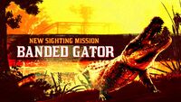 Legendary Banded Gator