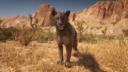 Legendary Cougar