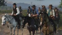 The Mahogany Bay Tennessee Walker in the Center
