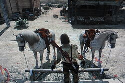 Unicorn Red Dead Wiki