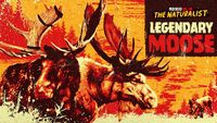 Legendary Moose