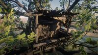 Tree House