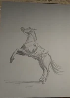 Arthur's drawing of a Nokota