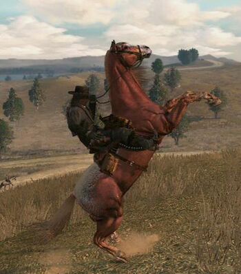 Appaloosa, Red Dead Wiki