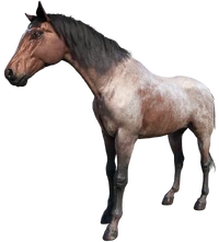 Morgan | Red Dead Wiki | Fandom