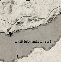 Brittlebrush
