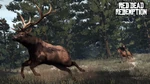 Rdr elk hunt