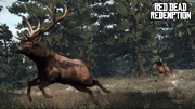 Rdr elk hunt.jpg (472 kB)