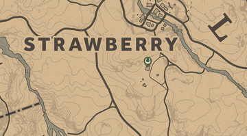 Strawberry Stables Red Dead | Fandom