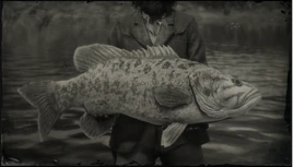 RDR2 Portrait Legendary Smallmouth Bass