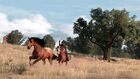 Rdr horse04