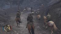 Riding into battle