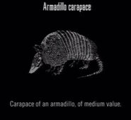 Animals Armadillo Carapace