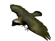 Pajaro cantor2.png (486 KB) A green Songbird.