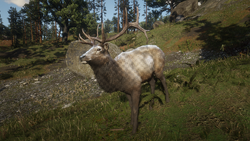 redfin • Elks Hunting & Fishing  Online Fishing, Hunting & Camping