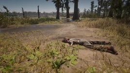 RDR2 POI 19 Withered Arm 01