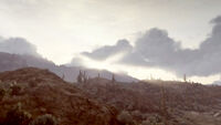 The vast wilderness of Cholla Springs.