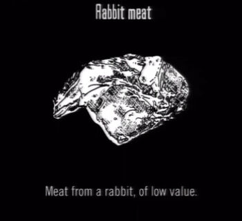 Animals Rabbit Meat