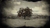 Broken Tree loading screen