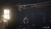 Sean nos saluda en el Red Dead Online.