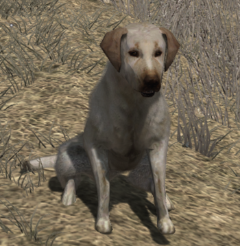 Rufus | Red Dead Wiki | Fandom