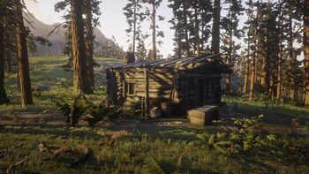 RDR2 Tanners Reach