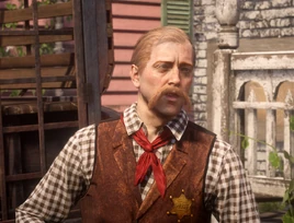 Ajmrdrsheriffleegrey