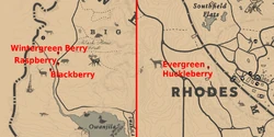 craft 9 items using indian tobacco as an ingredient Herbalist Challenges | Red Dead Wiki craft 9 items using indian tobacco as an ingredient Herbalist Challenges | Red Dead Wiki