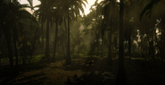 Deep inside the jungles of Guarma